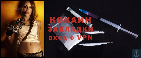 индика Алзамай
