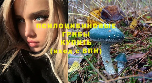индика Алзамай