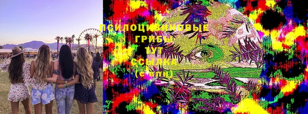 индика Алзамай