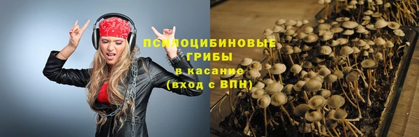 эйфоретик Алексин