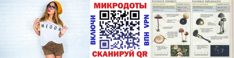 Галлюциногенные грибы MAGIC MUSHROOMS  Орлов 
